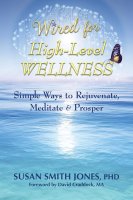 Wired for High Level Wellness book cover