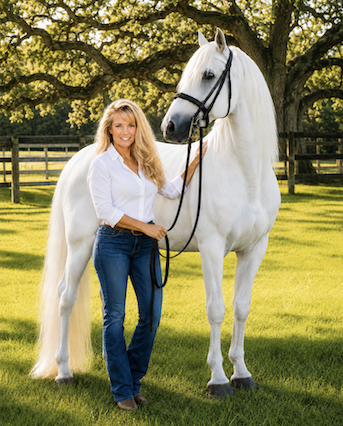 SJ Horse Zeus