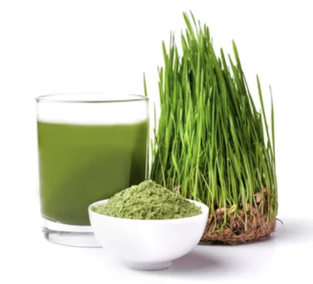 Barley grass, juice and powder