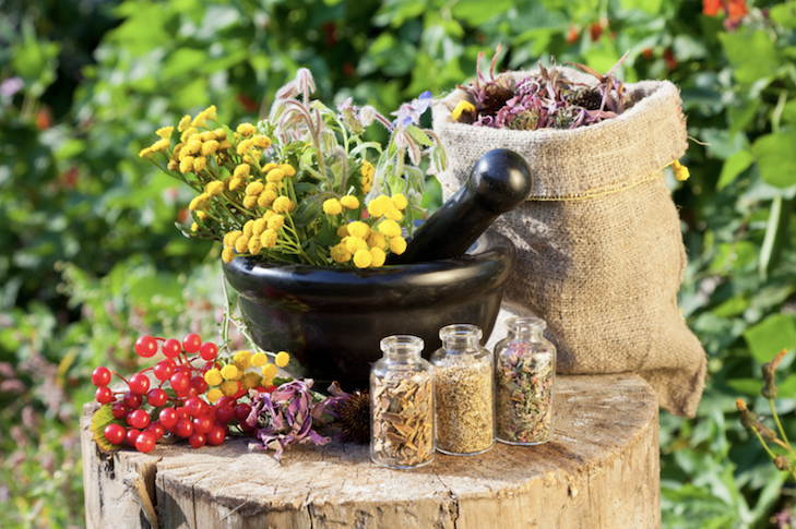 Herbs, Spices Garden