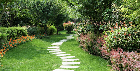 Nature pathway of beauty