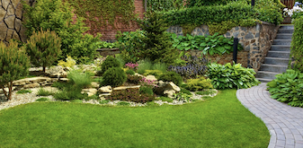 Peaceful Backyard